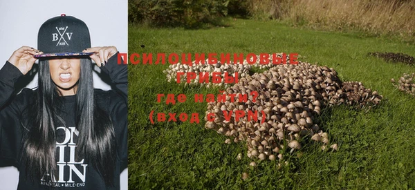 дмт Вяземский