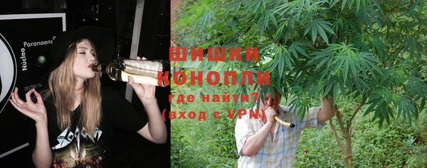 дмт Вяземский