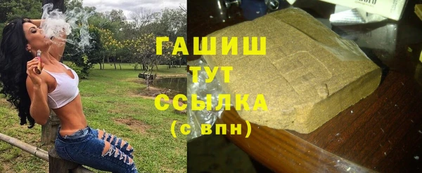 ECSTASY Горняк