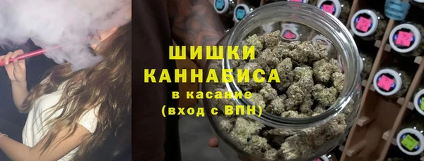 дмт Вяземский