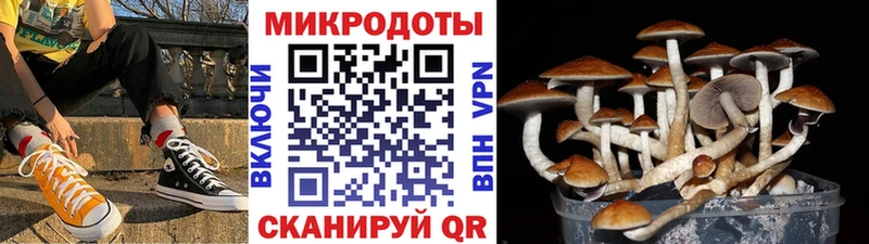 Псилоцибиновые грибы GOLDEN TEACHER Котельниково